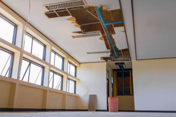 Best Professional water damage repair  in Ridge Manor, FL