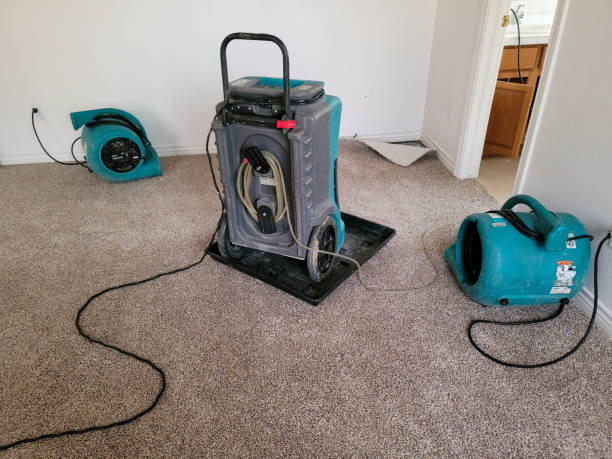 Best Ceiling water damage repair  in Ridge Manor, FL