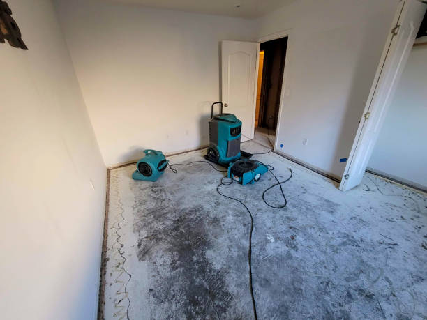 Best Flood restoration services  in Ridge Manor, FL