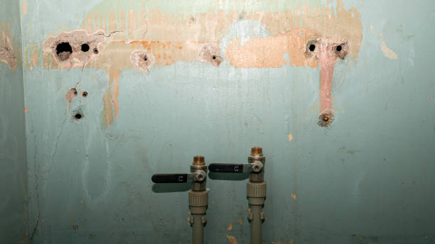Best 24-hour water damage restoration  in Ridge Manor, FL