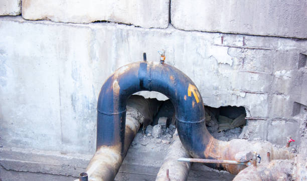 Best Water damage restoration near me  in Ridge Manor, FL