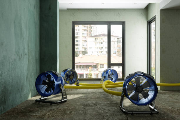 Best Emergency water damage restoration  in Ridge Manor, FL
